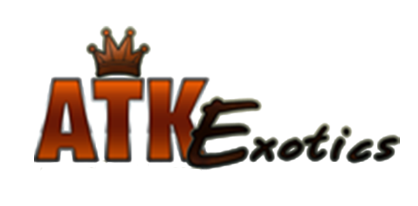 ATK Exotics